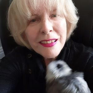 Meet your Posher, Linda